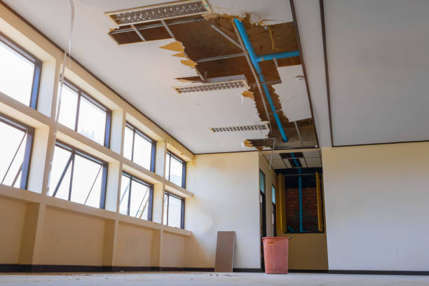 Best Residential water damage restoration  in Dewitt, IA