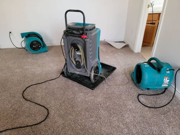 Best Sewage cleanup and water damage restoration  in Dewitt, IA