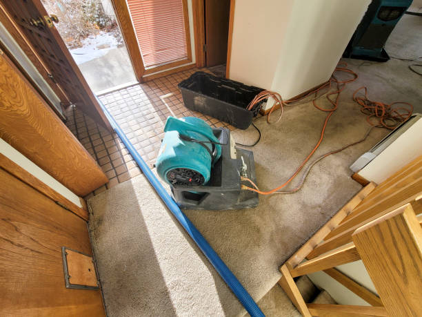 Best Local water damage restoration  in Dewitt, IA