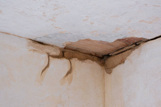 Best Water damage contractors near me  in Dewitt, IA