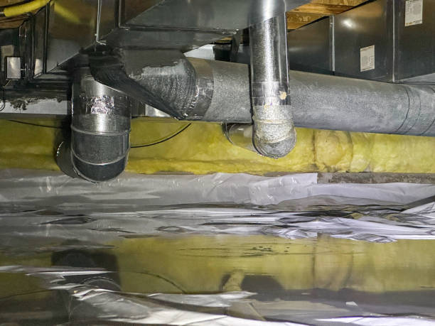 Best Residential water damage restoration  in Dewitt, IA