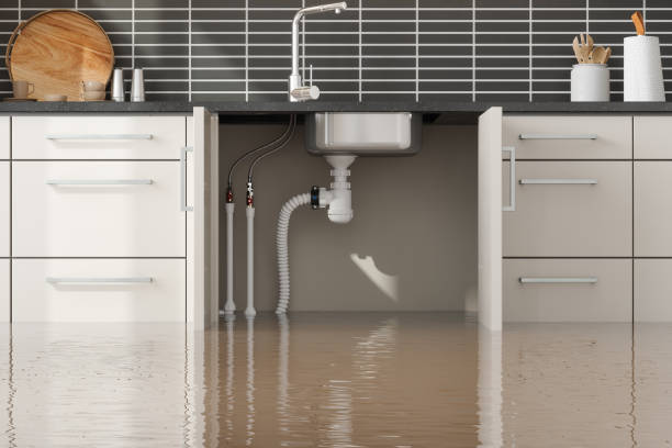 Best 24-hour water damage restoration  in Dewitt, IA