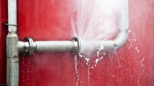 Best Flooded house restoration  in Dewitt, IA